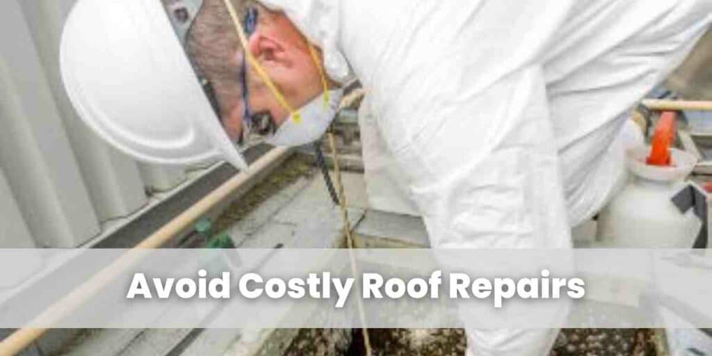 Avoid Costly Roof Repairs