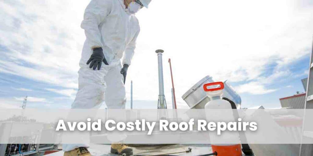 Avoid Costly Roof Repairs